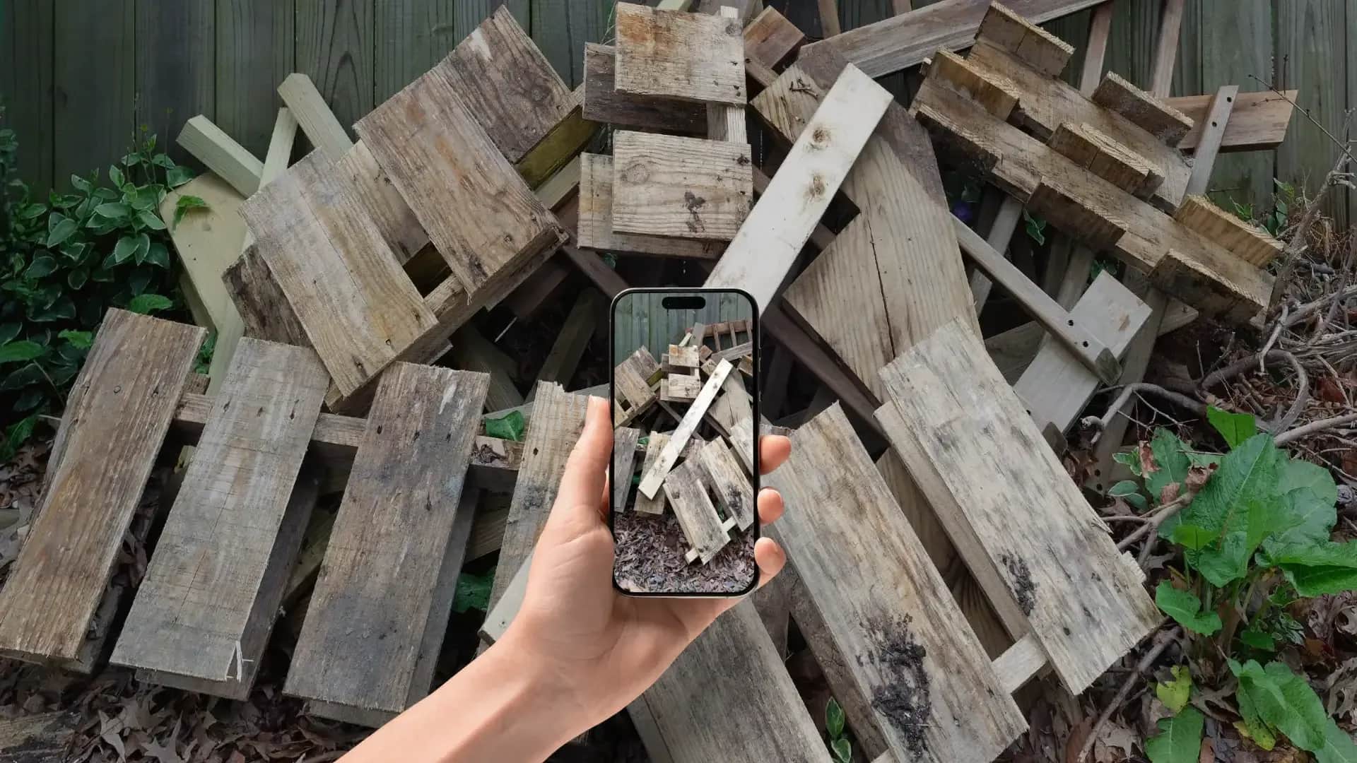 Text for free quote