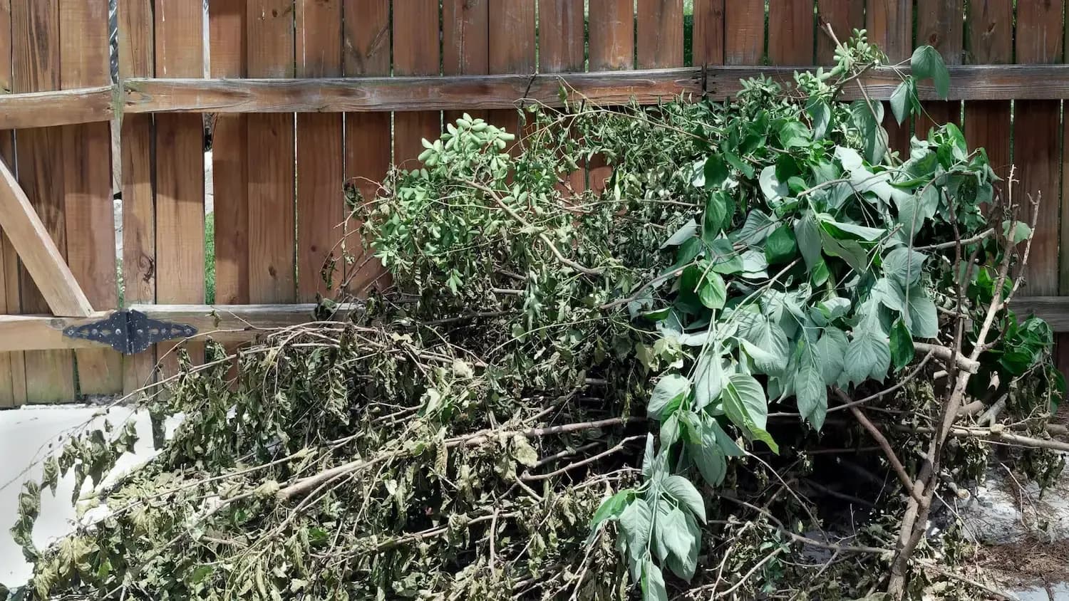 Professional yard waste removal team in Grayslake, IL